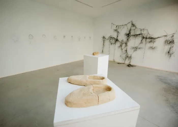 Art House * Shkodër